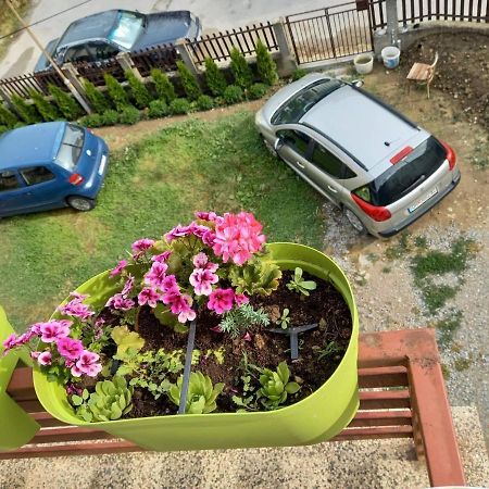 Apartmants Djekovi Ochryda Zewnętrze zdjęcie